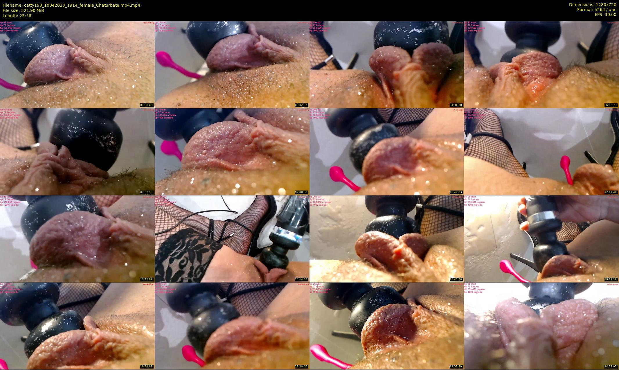 catty190 — 26 minute Chaturbate female cam show recording, 720p, Apr 10, 2023