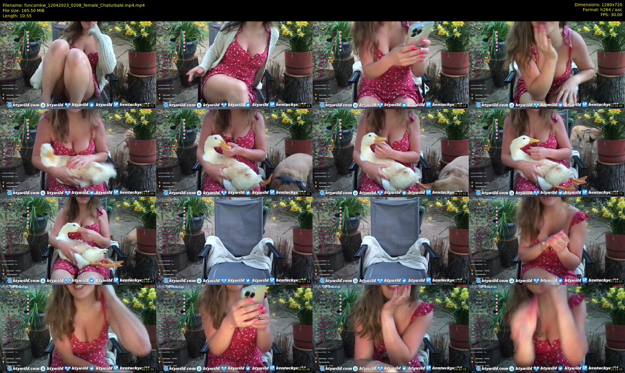 funcamkw — 11 minute Chaturbate female cam show recording, 720p, Apr 12, 2023