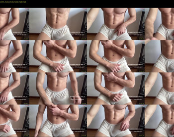 bestdick1991 — 5 minute Chaturbate male cam show recording, 720p, Apr 12, 2023