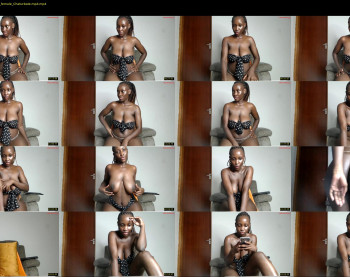 gulpess — 38 minute Chaturbate female cam show recording, 480p, Apr 13, 2023
