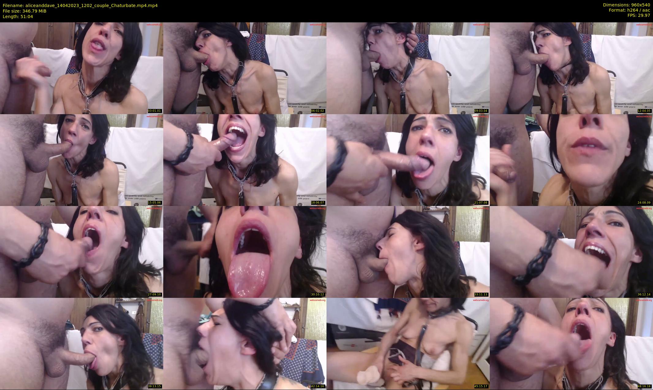 aliceanddave — 52 minute Chaturbate couple cam show recording, 480p, Apr 14, 2023