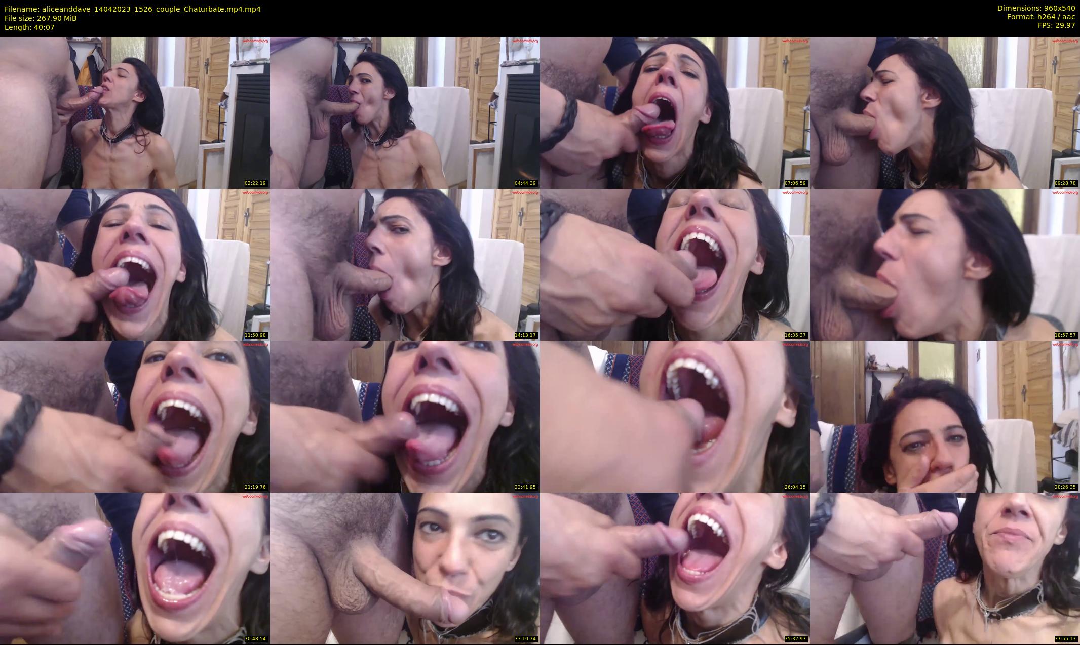 aliceanddave — 41 minute Chaturbate couple cam show recording, 480p, Apr 14, 2023