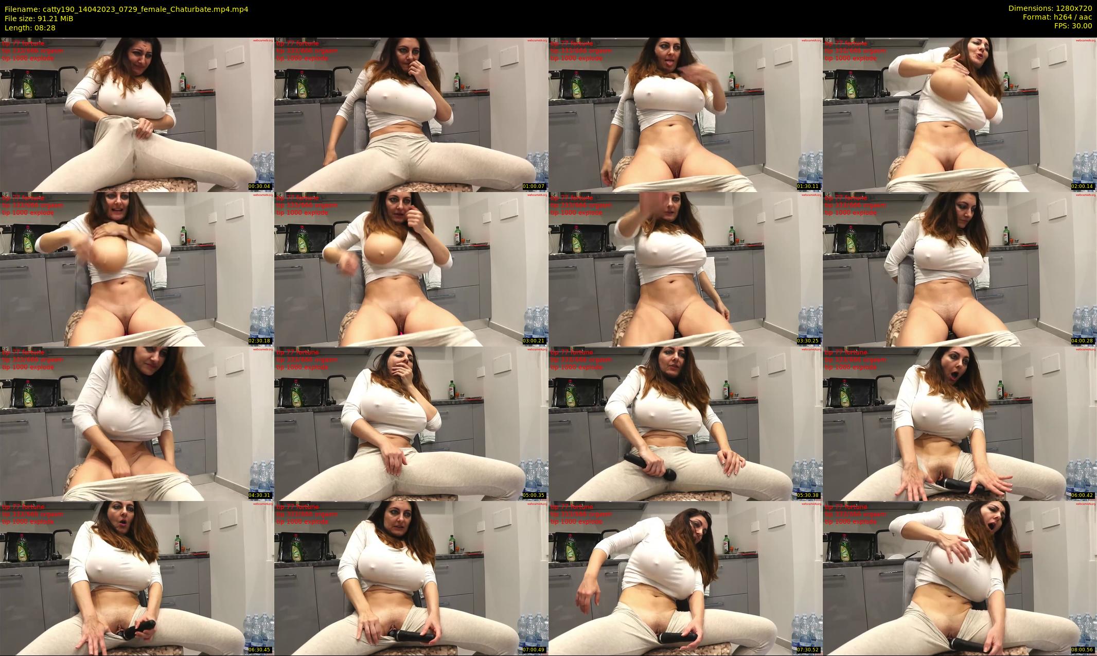 catty190 — 9 minute Chaturbate female cam show recording, 720p, Apr 14, 2023