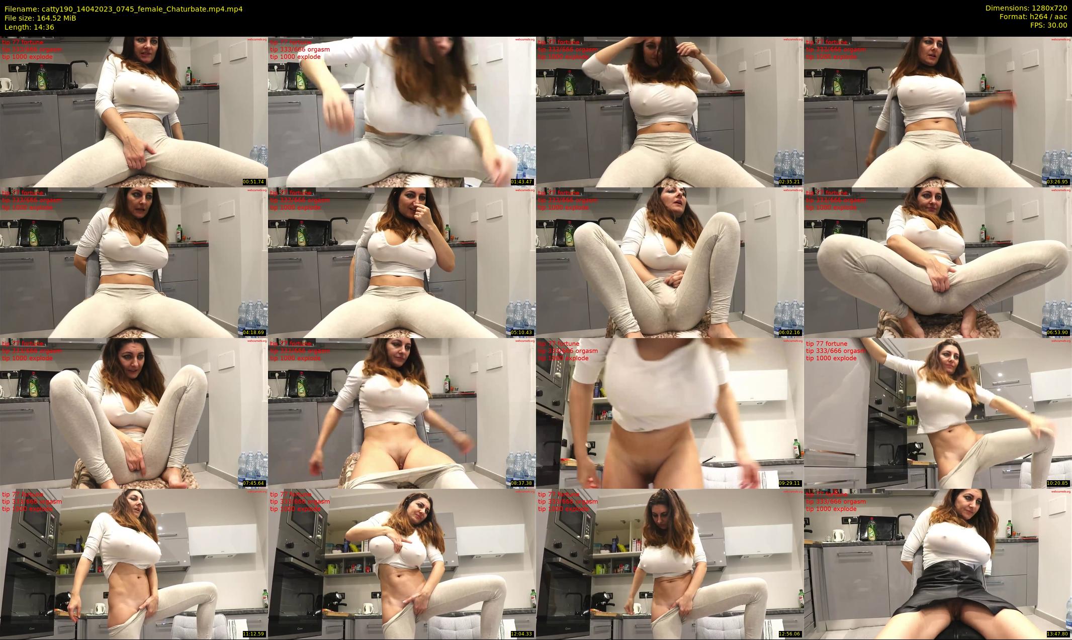 catty190 — 15 minute Chaturbate female cam show recording, 720p, Apr 14, 2023