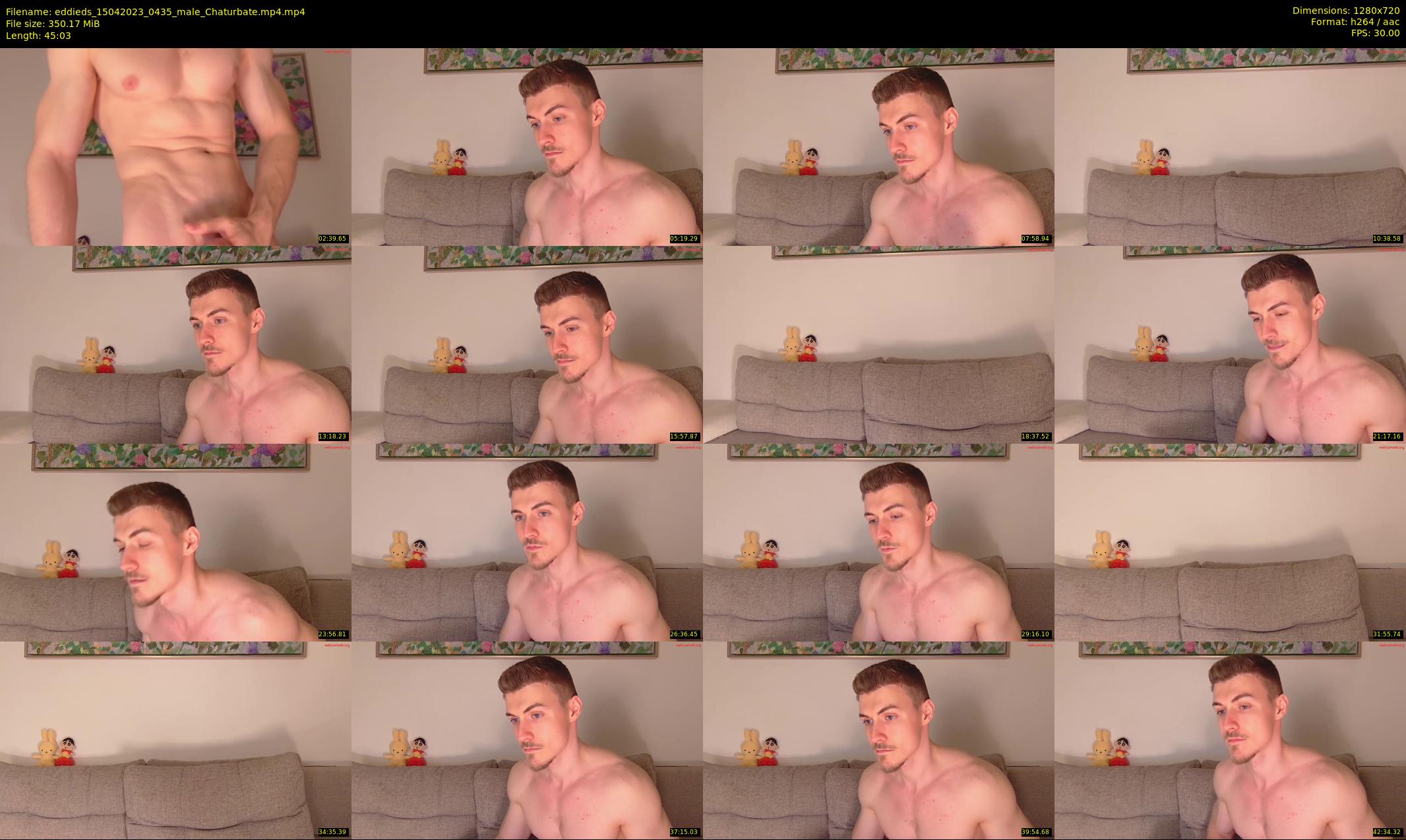 eddieds — 46 minute Chaturbate male cam show recording, 720p, Apr 15, 2023