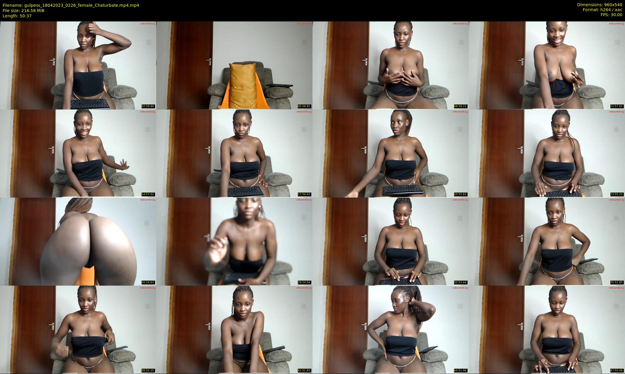 gulpess — 51 minute Chaturbate female cam show recording, 480p, Apr 18, 2023