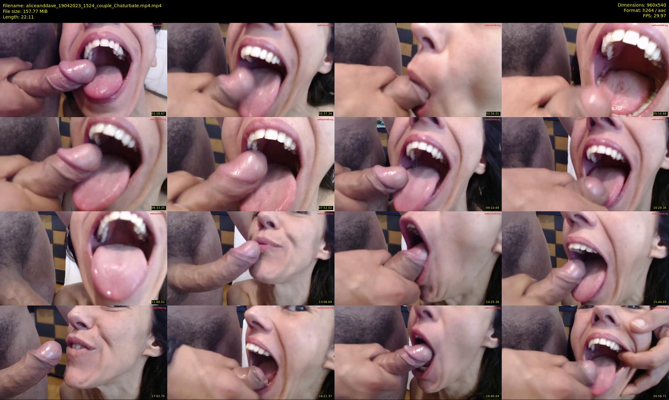 aliceanddave — 23 minute Chaturbate couple cam show recording, 480p, Apr 19, 2023
