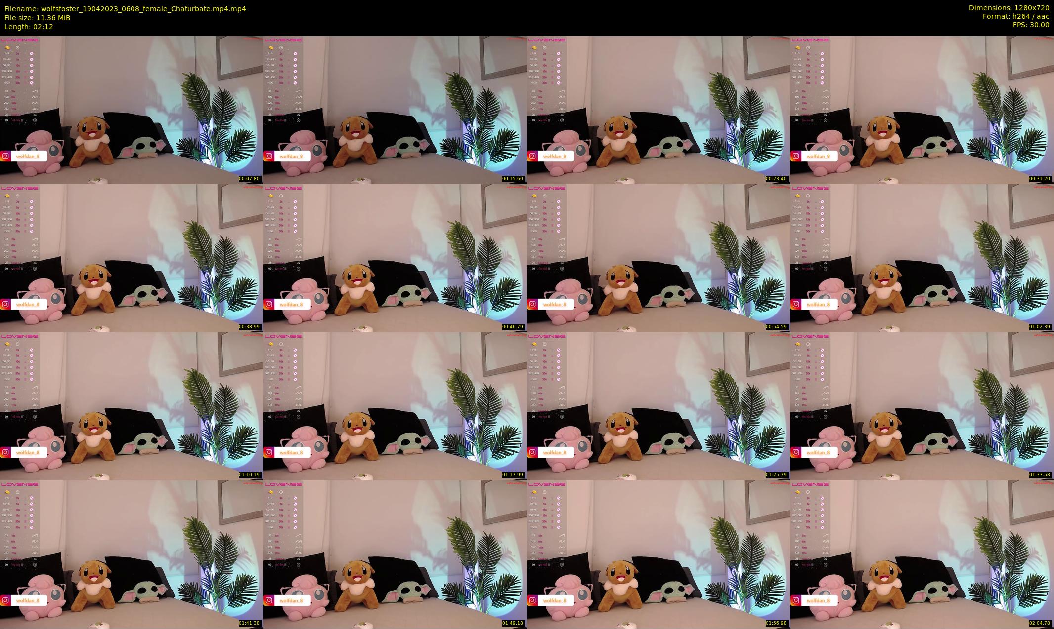 wolfsfoster — 3 minute Chaturbate couple cam show recording, 720p, Apr 19, 2023