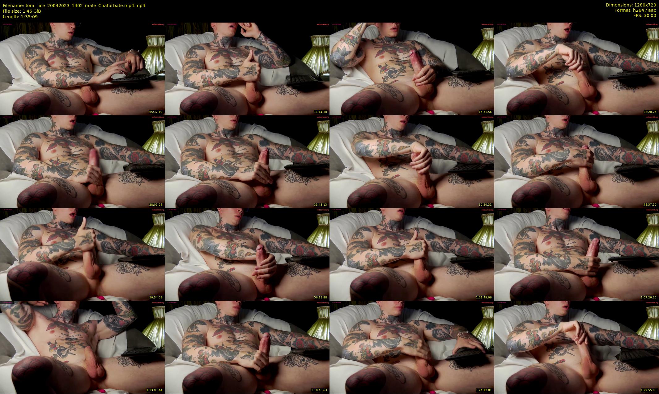 tom__ice — 96 minute Chaturbate male cam show recording, 720p, Apr 20, 2023