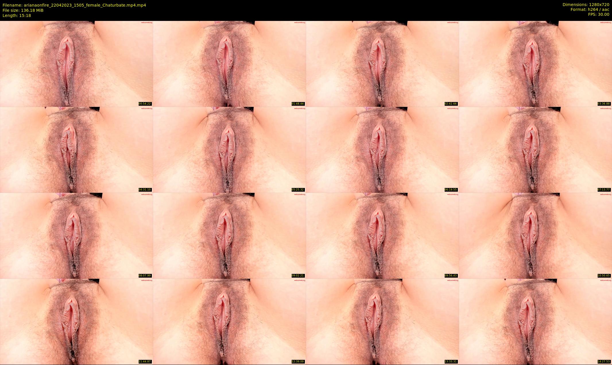 arianaonfire — 16 minute Chaturbate couple cam show recording, 720p, Apr 22, 2023
