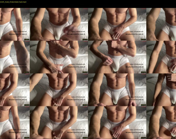 bestdick1991 — 30 minute Chaturbate male cam show recording, 720p, Apr 25, 2023
