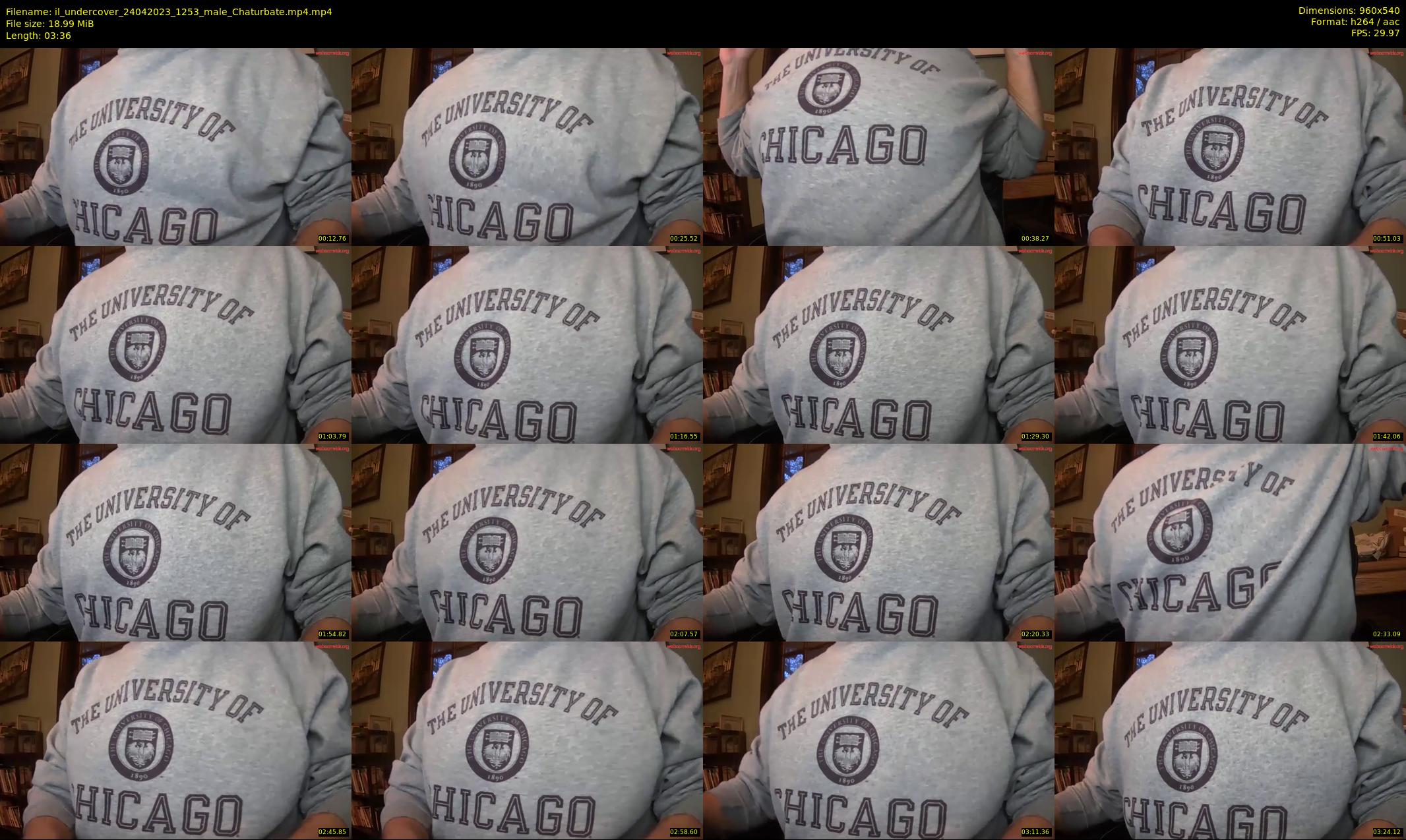 il_undercover — 4 minute Chaturbate male cam show recording, 480p, Apr 24, 2023