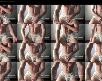 bestdick1991 — 8 minute Chaturbate male cam show recording, 720p, Apr 25, 2023