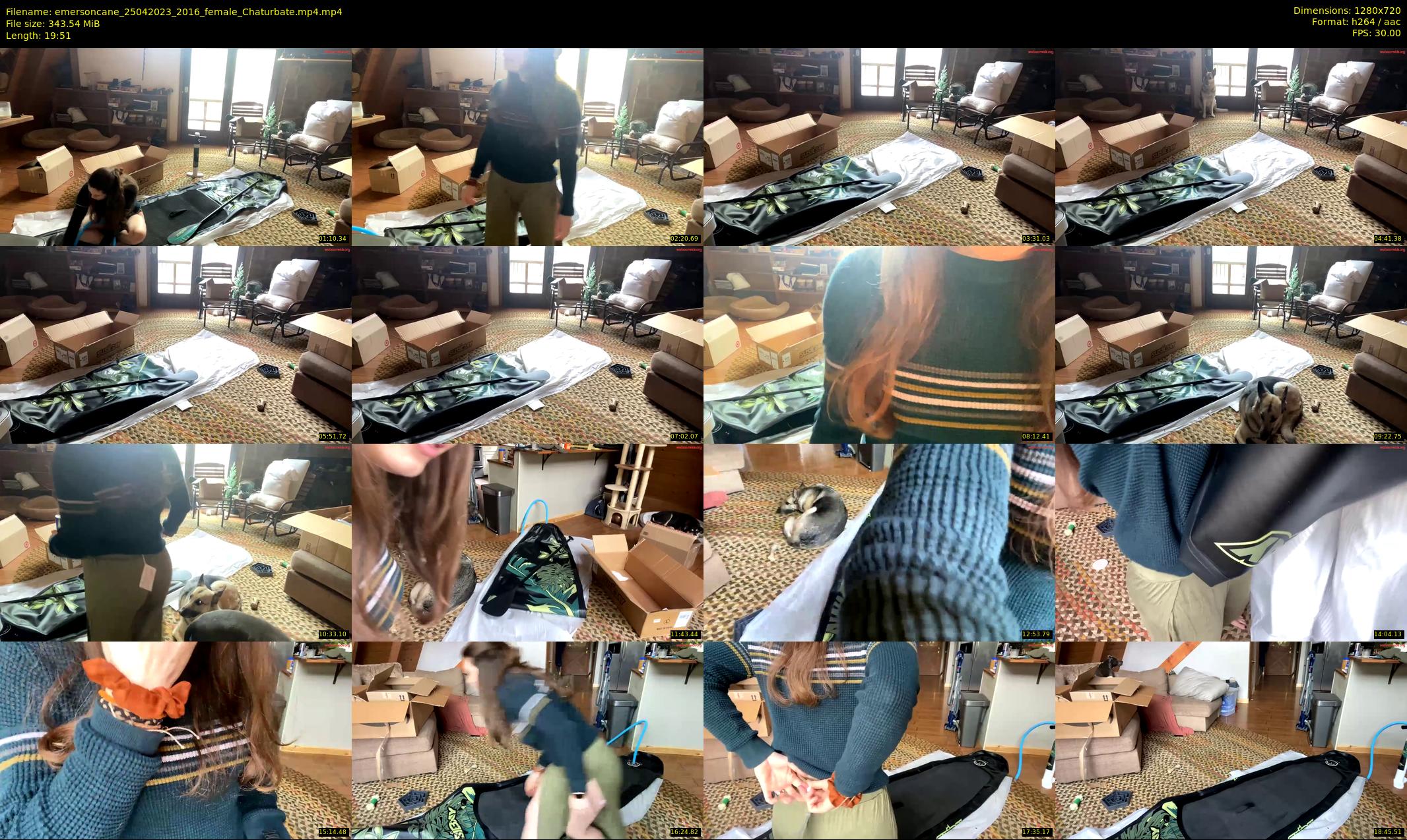emersoncane — 20 minute Chaturbate female cam show recording, 720p, Apr 25, 2023