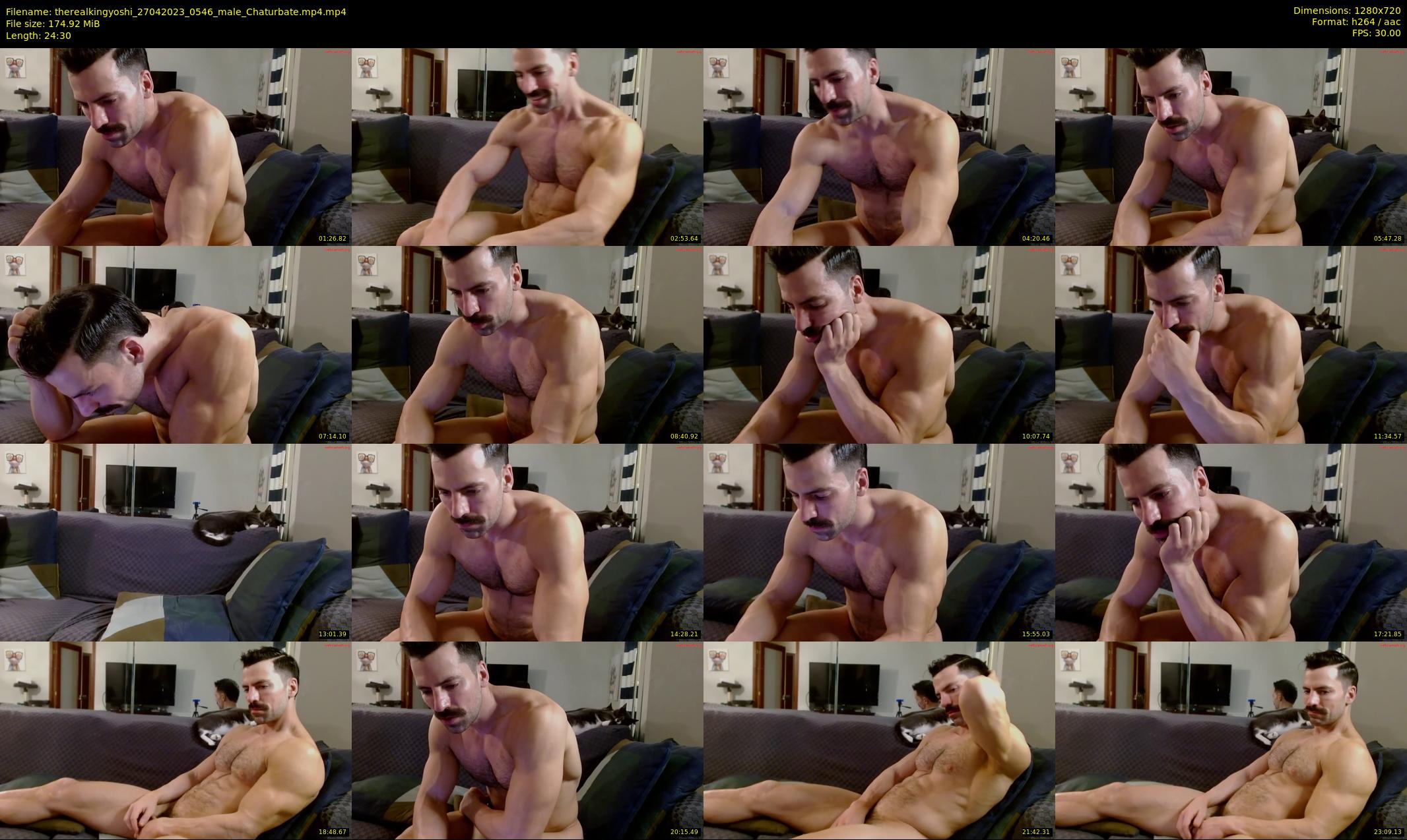therealkingyoshi — 25 minute Chaturbate male cam show recording, 720p, Apr 27, 2023
