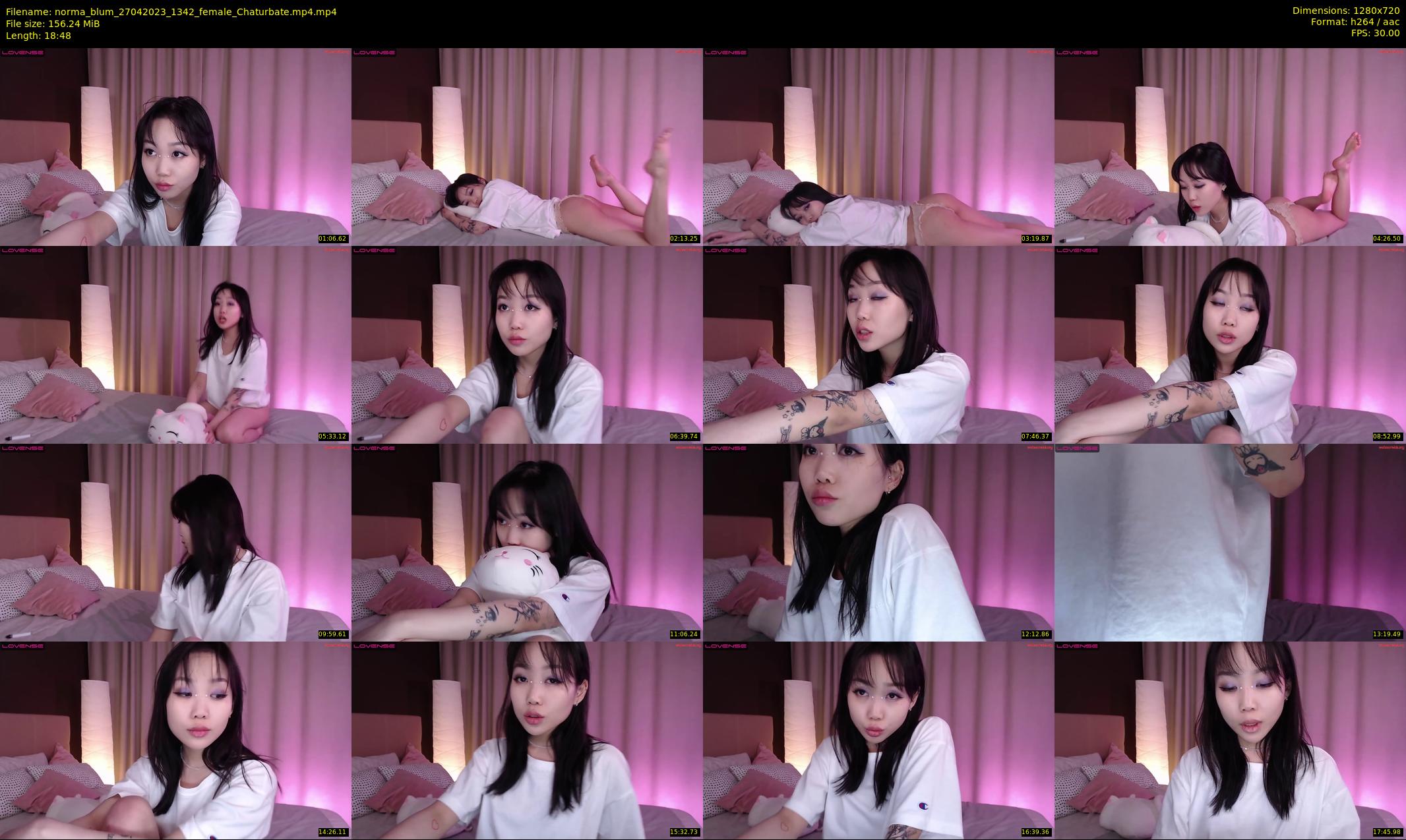norma_blum — 19 minute Chaturbate female cam show recording, 720p, Apr 27, 2023