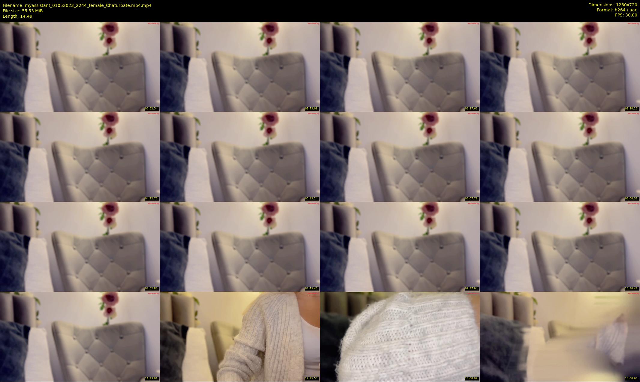 myassistant — 15 minute Chaturbate female cam show recording, 720p, May 1, 2023