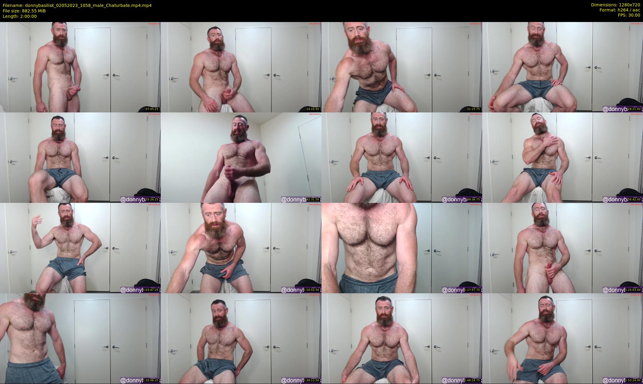 donnybasilisk — 120 minute Chaturbate male cam show recording, 720p, May 2, 2023