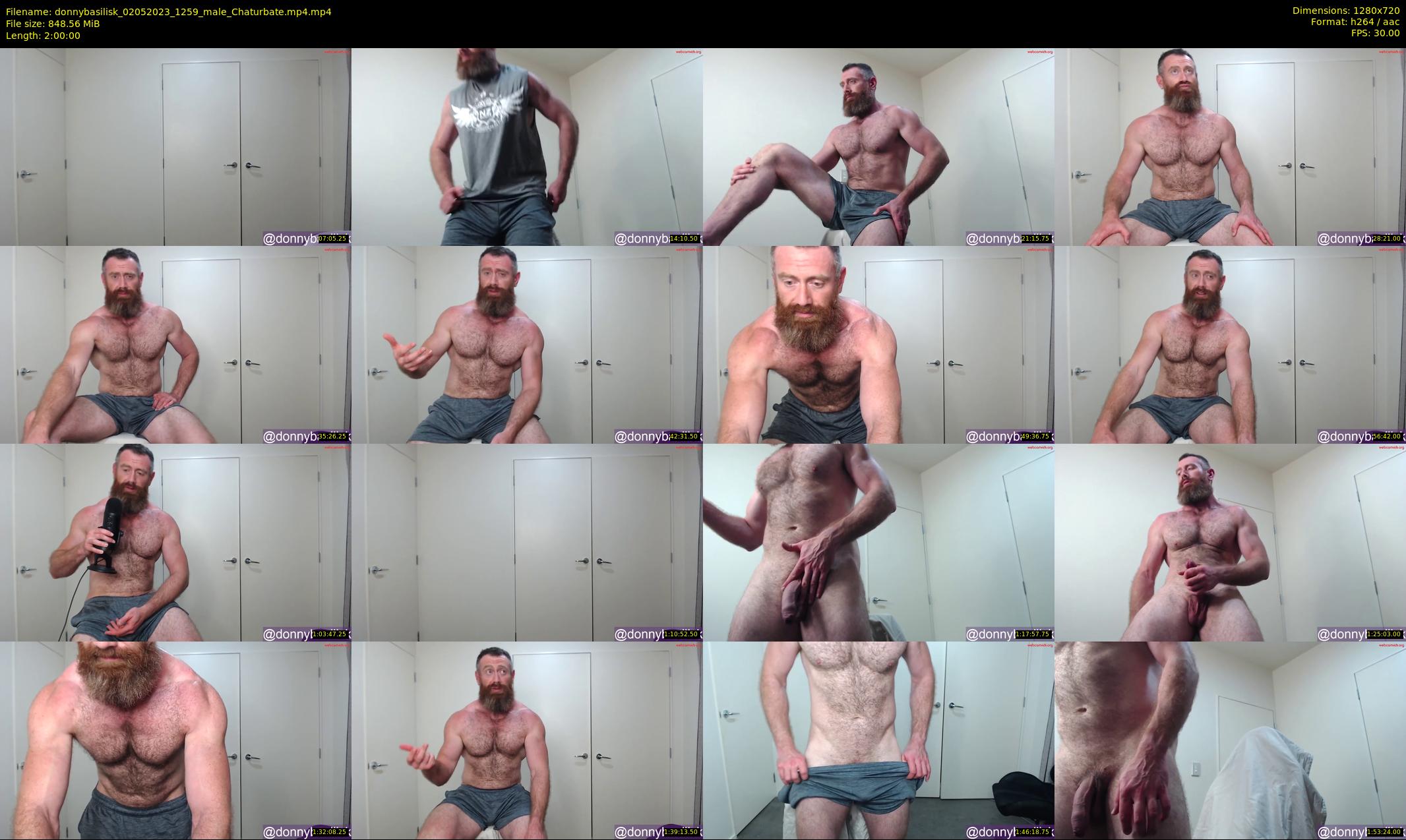 donnybasilisk — 120 minute Chaturbate male cam show recording, 720p, May 2, 2023
