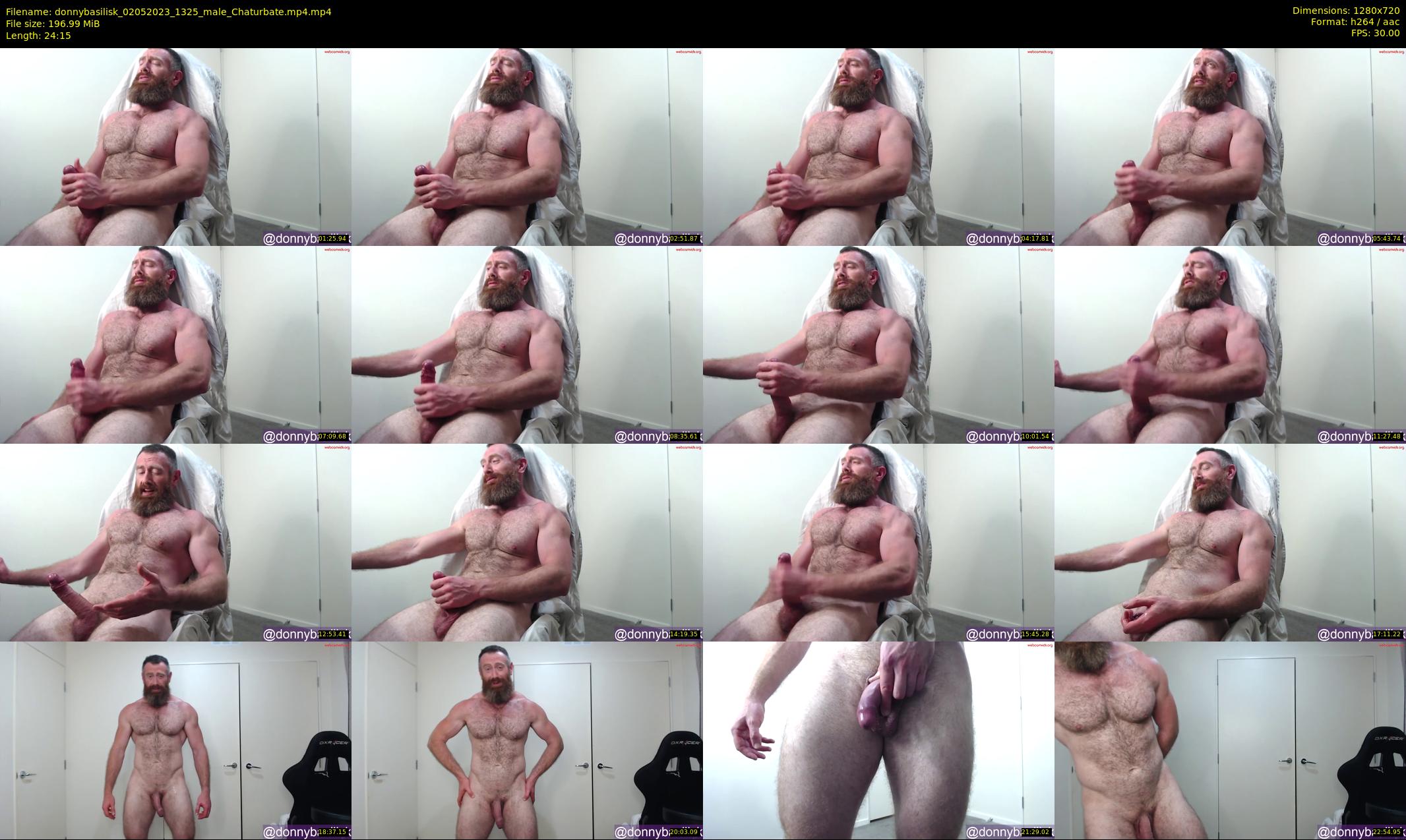 donnybasilisk — 25 minute Chaturbate male cam show recording, 720p, May 2, 2023