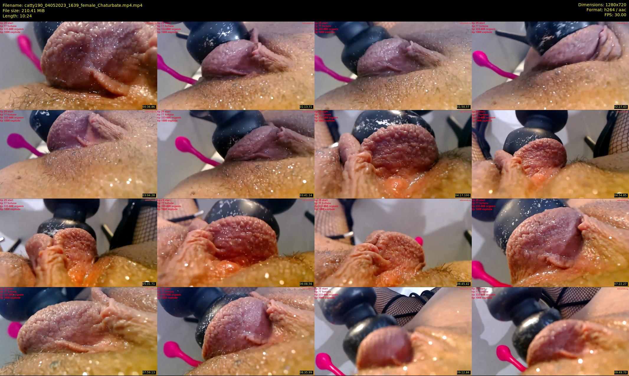catty190 — 11 minute Chaturbate female cam show recording, 720p, May 4, 2023