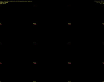 pretendlunch — 31 minute Chaturbate couple cam show recording, 720p, May 4, 2023