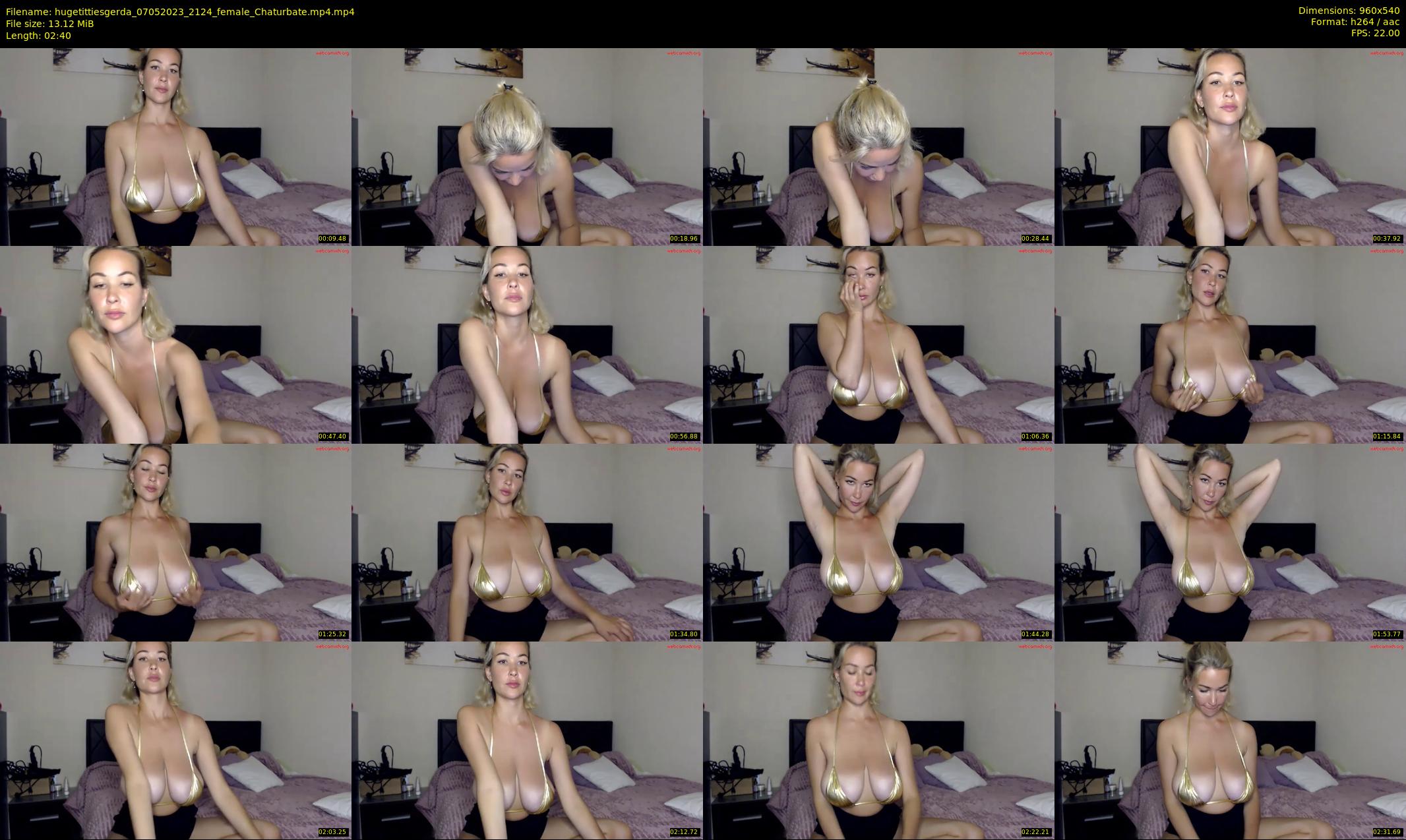 hugetittiesgerda — 3 minute Chaturbate female cam show recording, 480p, May 7, 2023