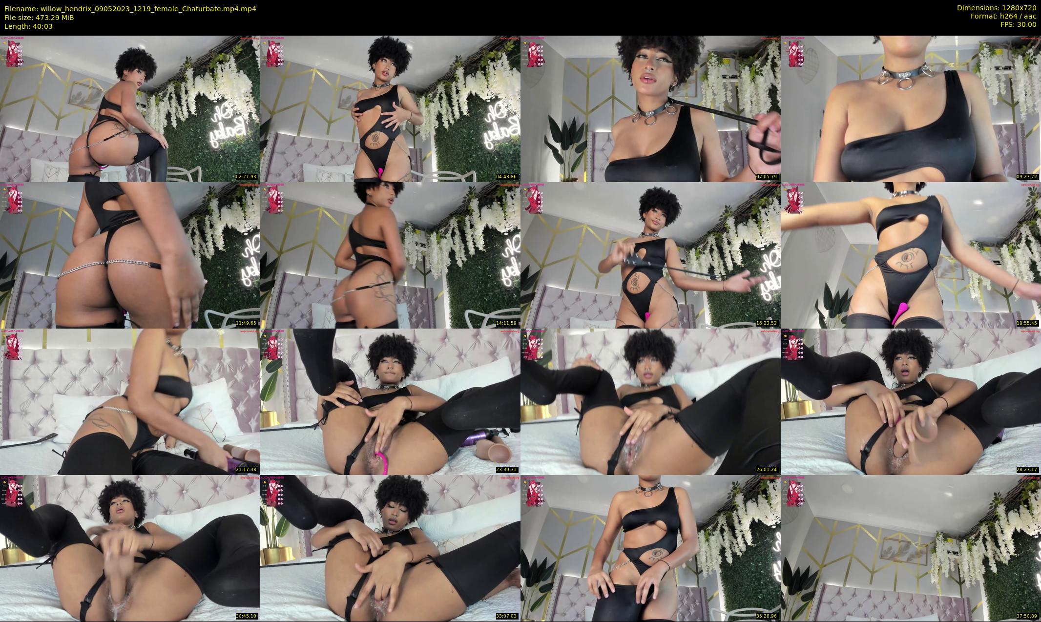 willow_hendrix — 41 minute Chaturbate female cam show recording, 720p, May 9, 2023