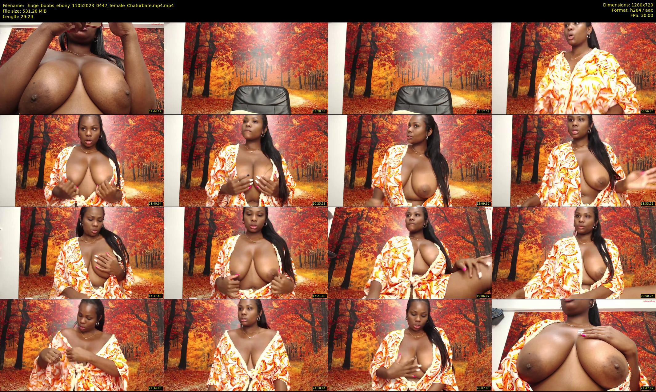 _huge_boobs_ebony — 30 minute Chaturbate female cam show recording, 720p, May 11, 2023