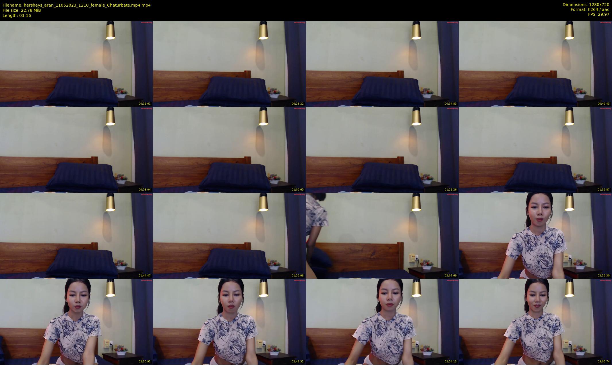 hersheys_aran — 4 minute Chaturbate female cam show recording, 720p, May 11, 2023