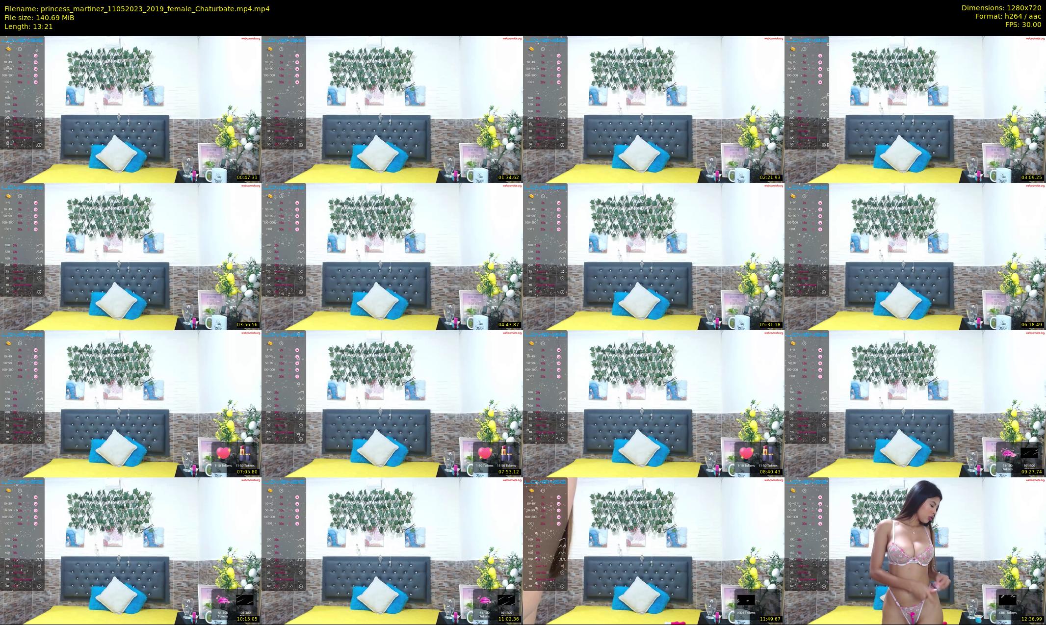 princess_martinez — 14 minute Chaturbate female cam show recording, 720p, May 11, 2023