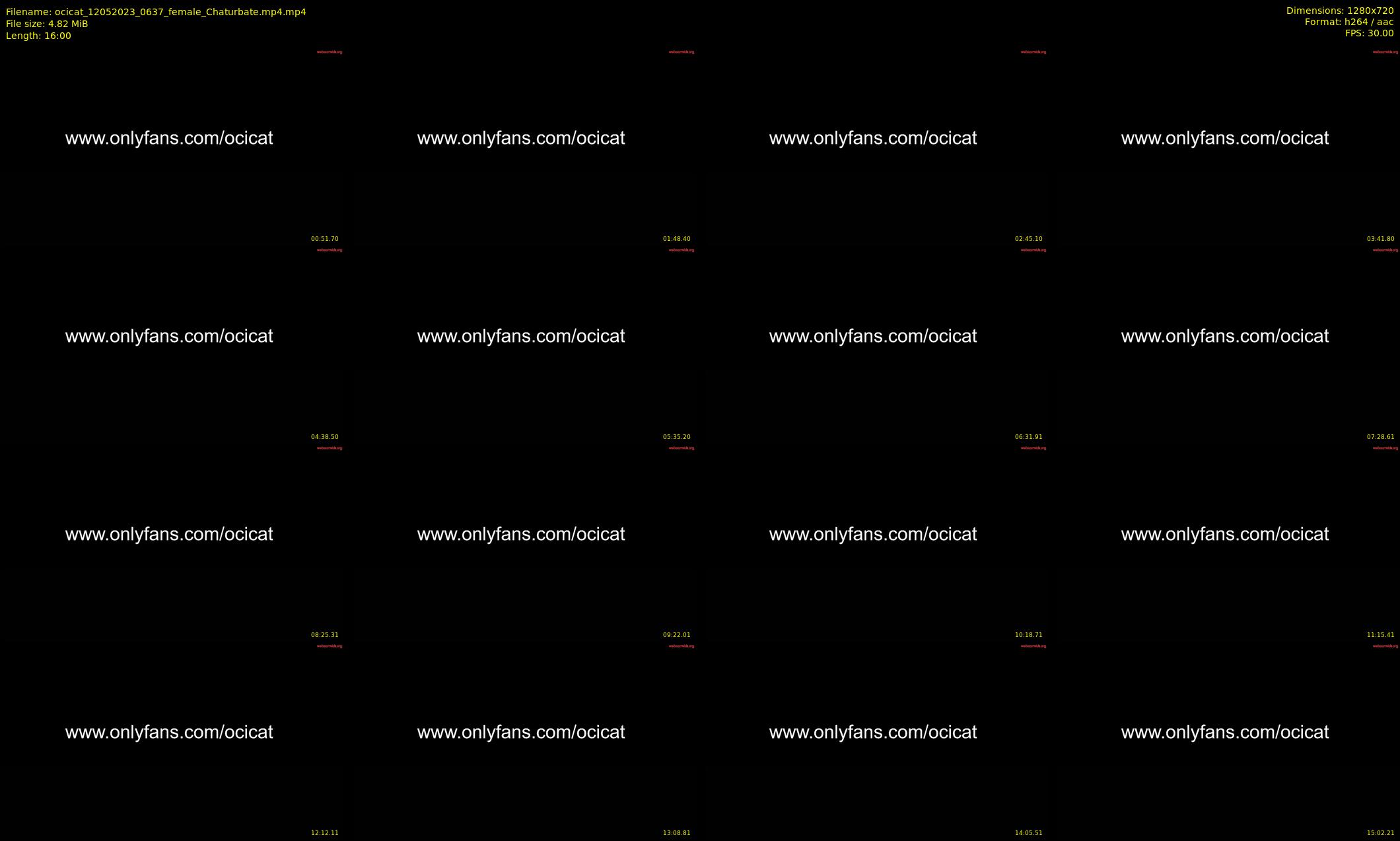 ocicat — 16 minute Chaturbate female cam show recording, 720p, May 12, 2023
