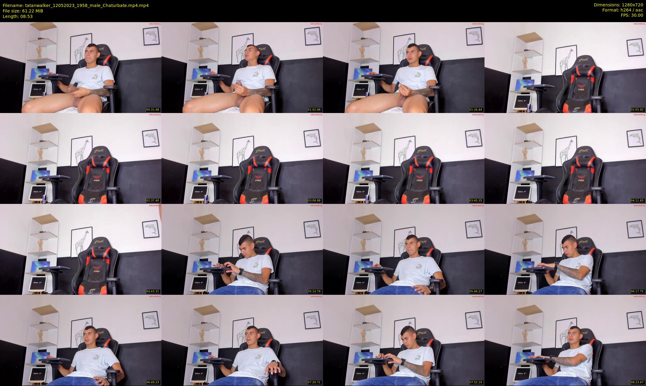 tatanwalker — 9 minute Chaturbate male cam show recording, 720p, May 12, 2023