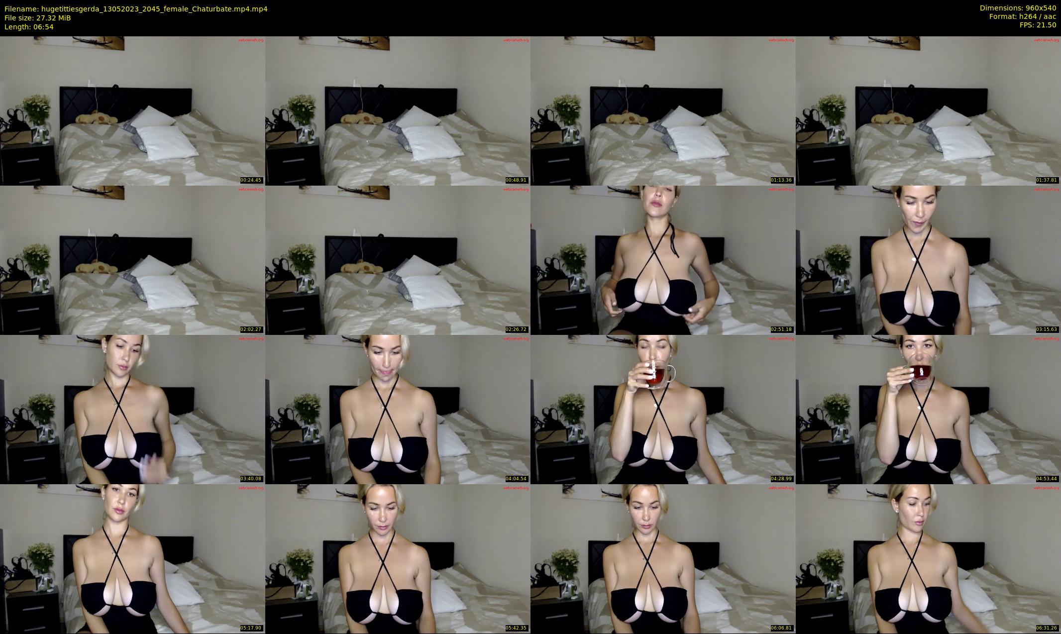 hugetittiesgerda — 7 minute Chaturbate female cam show recording, 480p, May 13, 2023