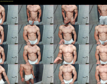 advp69 — 17 minute Chaturbate male cam show recording, 480p, May 15, 2023