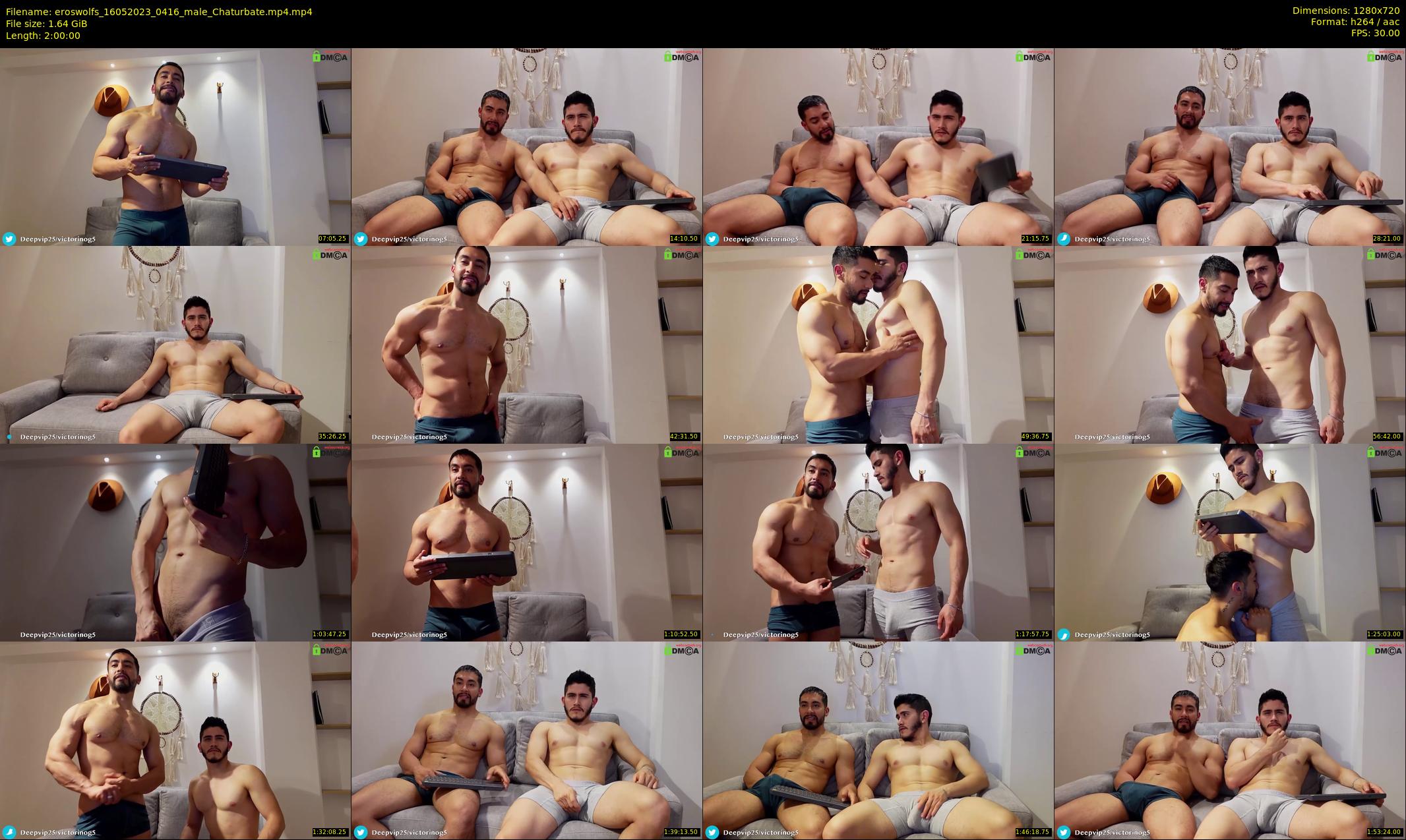 eroswolfs — 120 minute Chaturbate male cam show recording, 720p, May 16, 2023