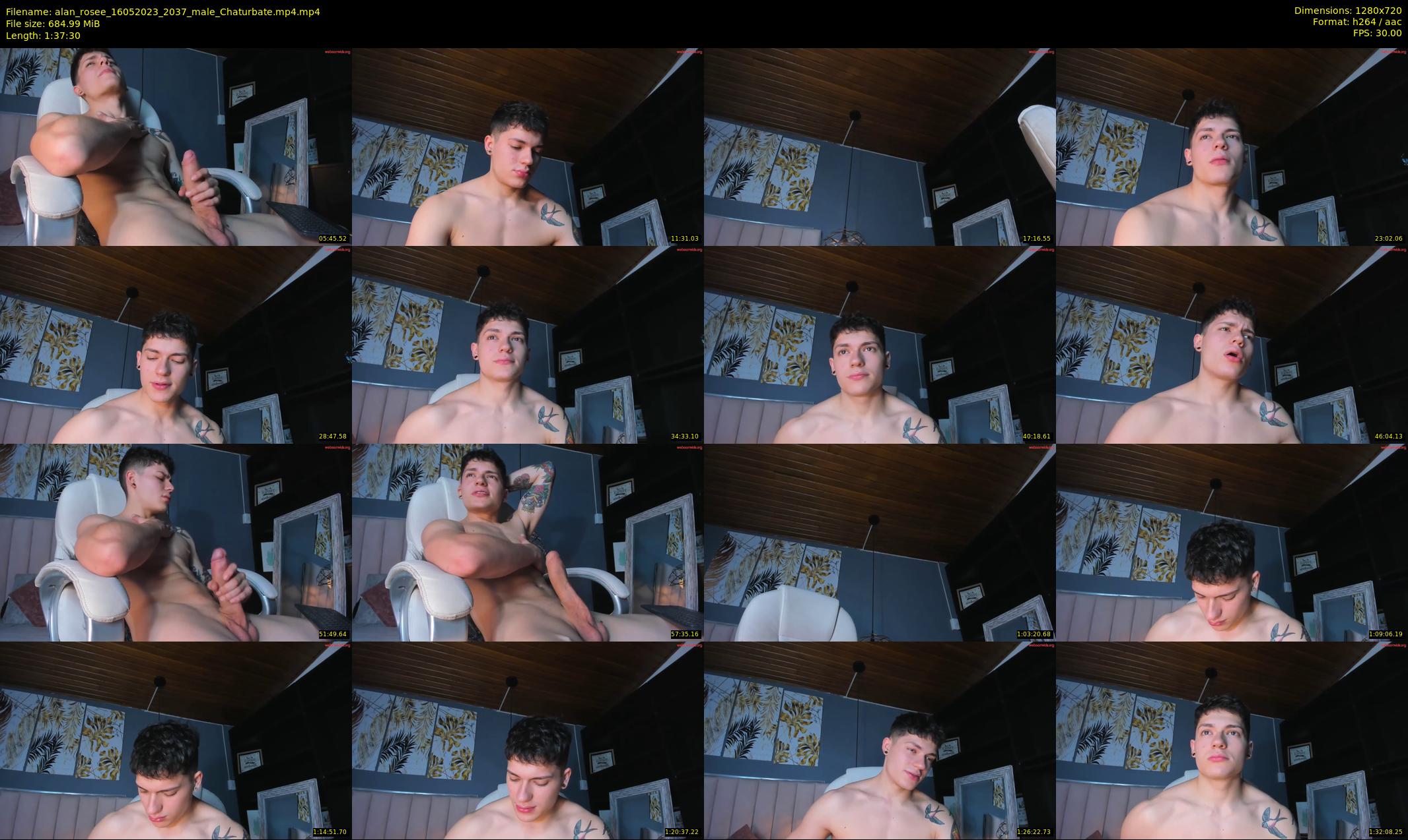 alan_rosee — 98 minute Chaturbate male cam show recording, 720p, May 16, 2023