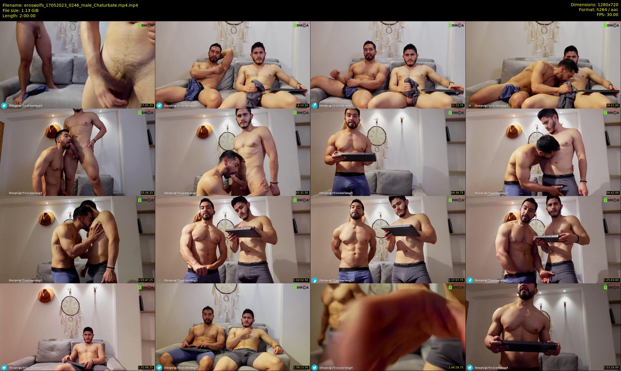 eroswolfs — 120 minute Chaturbate male cam show recording, 720p, May 17, 2023