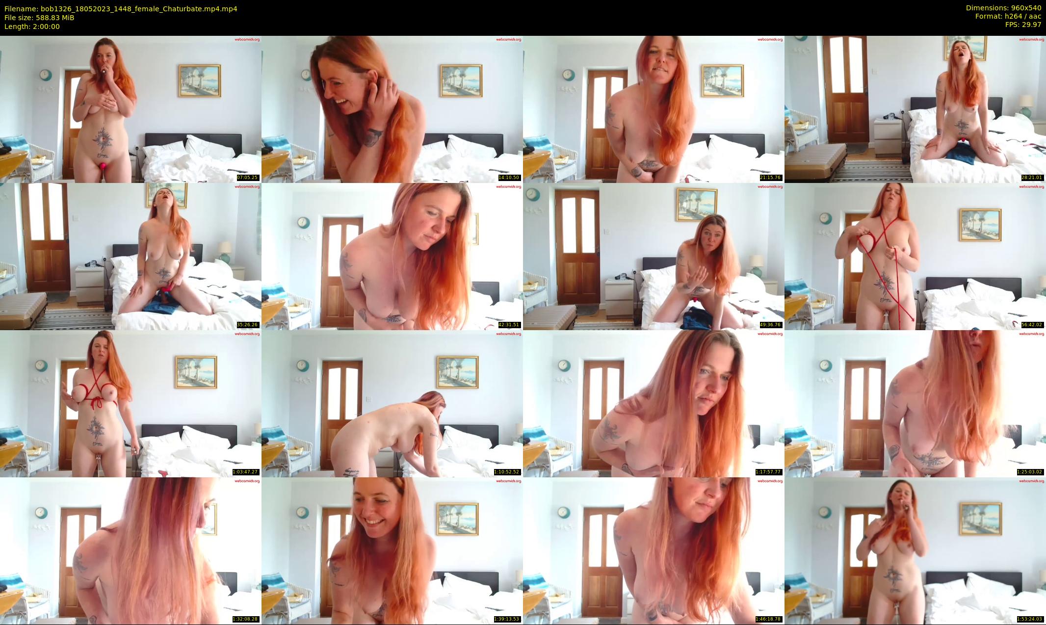 bob1326 — 120 minute Chaturbate female cam show recording, 480p, May 18, 2023