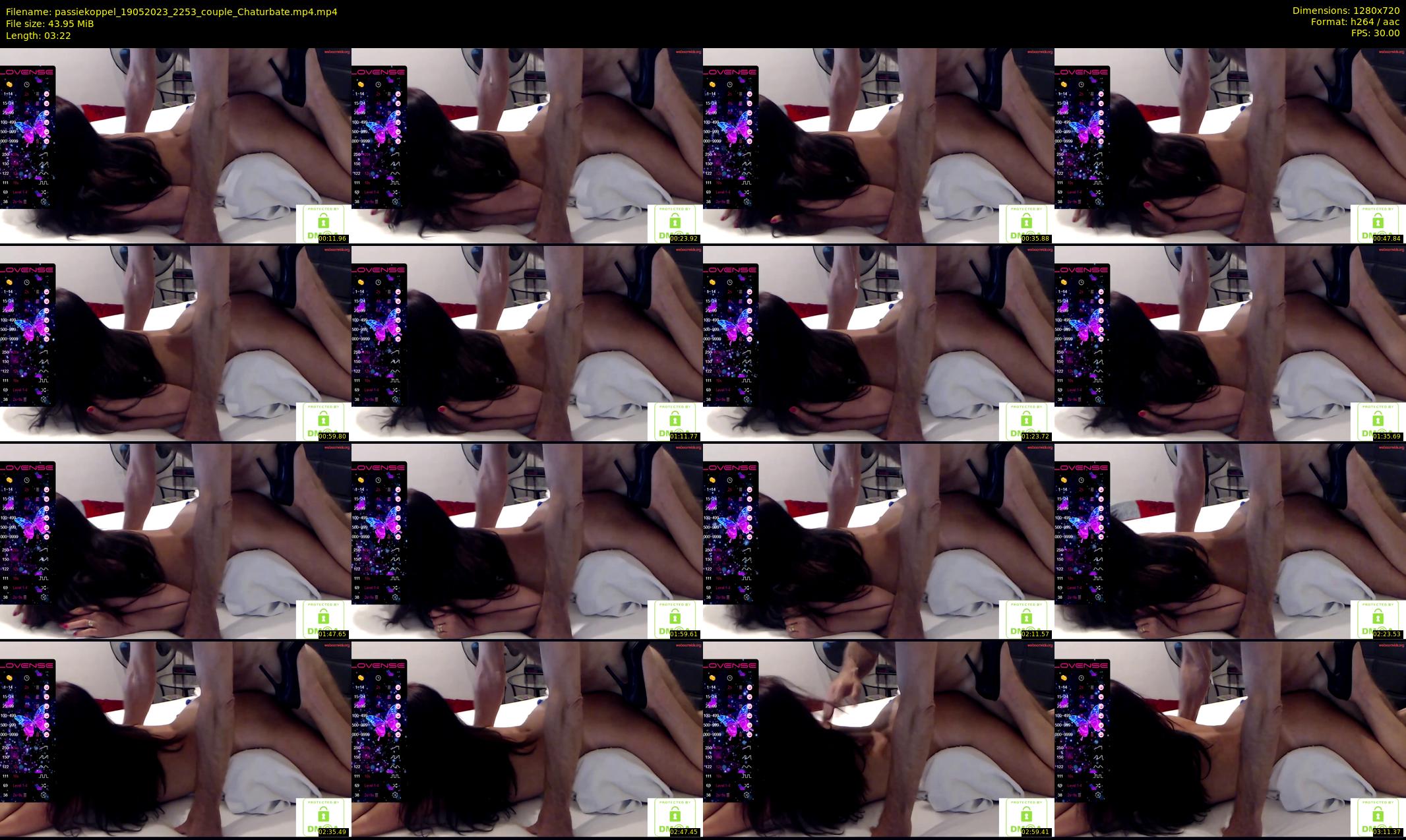 passiekoppel — 4 minute Chaturbate couple cam show recording, 720p, May 19, 2023