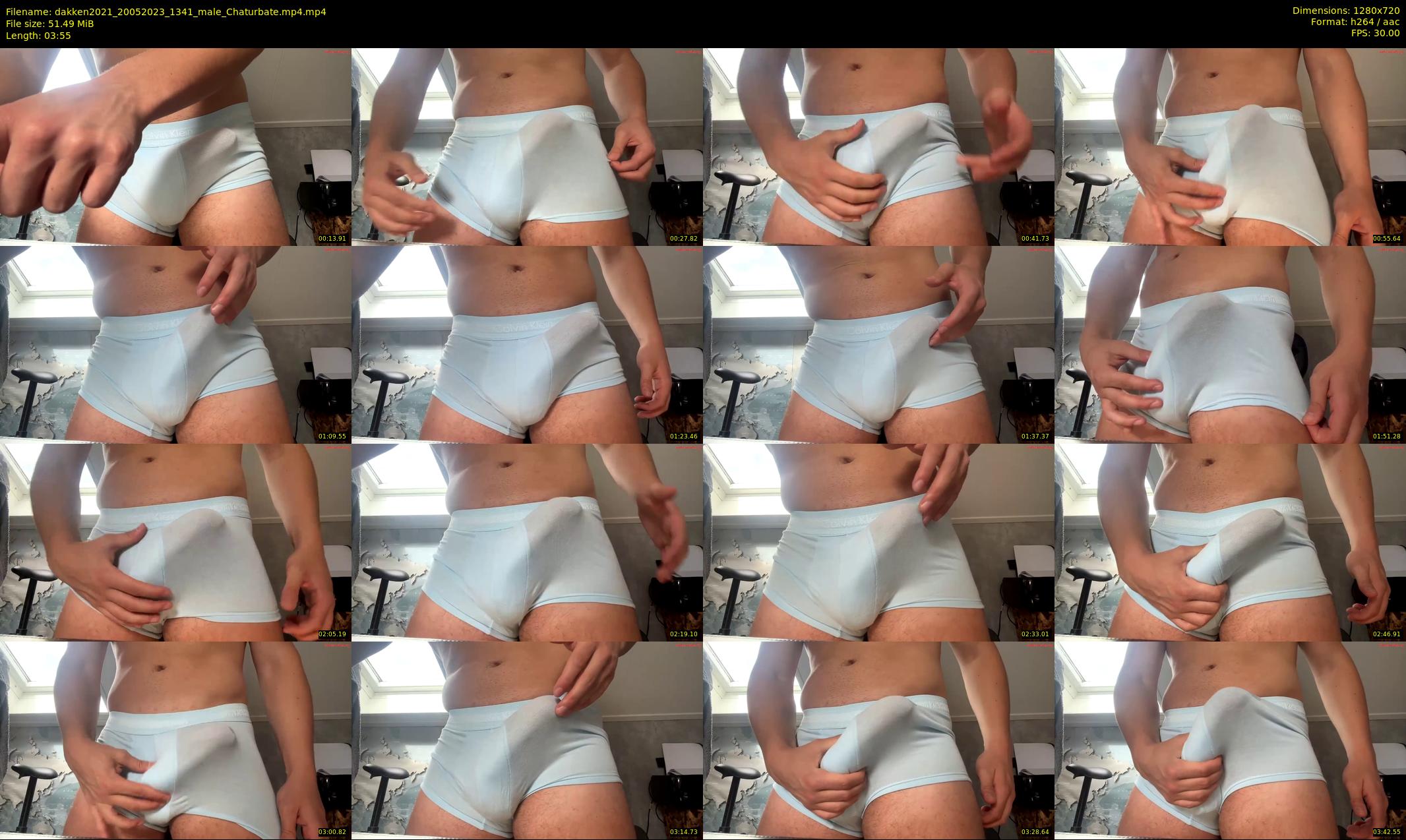 dakken2021 — 4 minute Chaturbate male cam show recording, 720p, May 20, 2023
