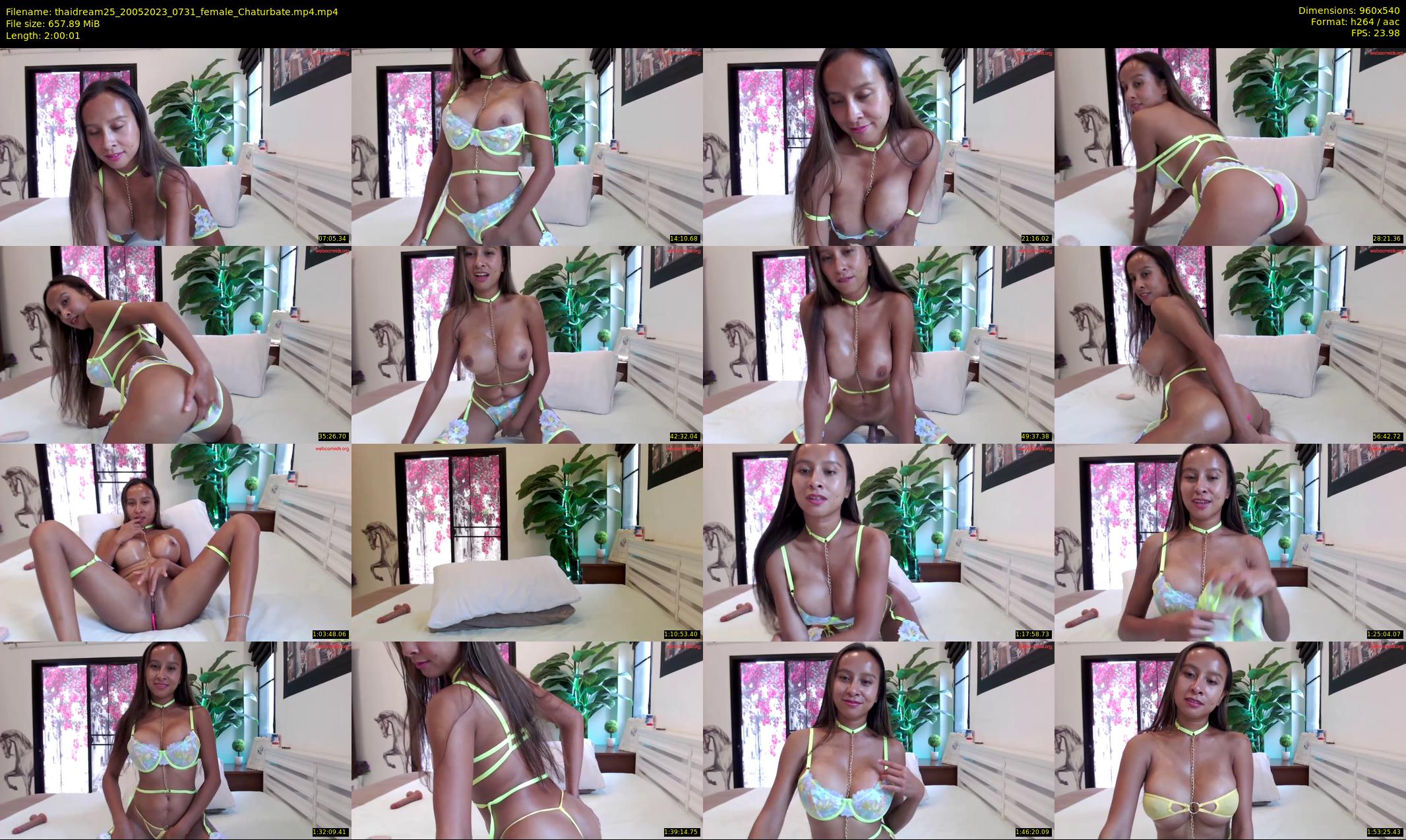 thaidream25 — 121 minute Chaturbate female cam show recording, 480p, May 20, 2023