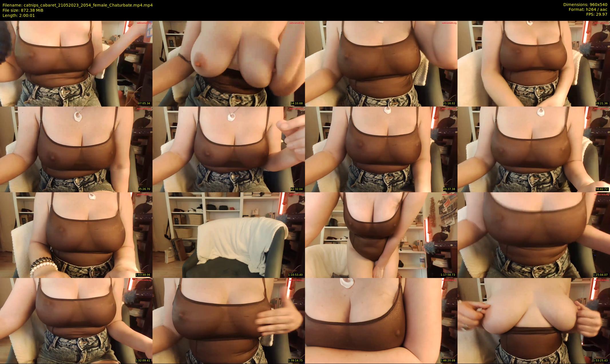 catnips_cabaret — 121 minute Chaturbate female cam show recording, 480p, May 21, 2023