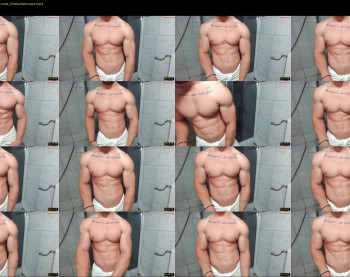 advp69 — 9 minute Chaturbate male cam show recording, 480p, May 25, 2023