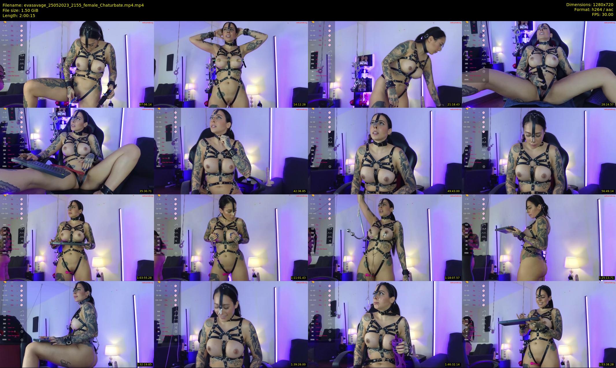 evasavage — 121 minute Chaturbate female cam show recording, 720p, May 25, 2023