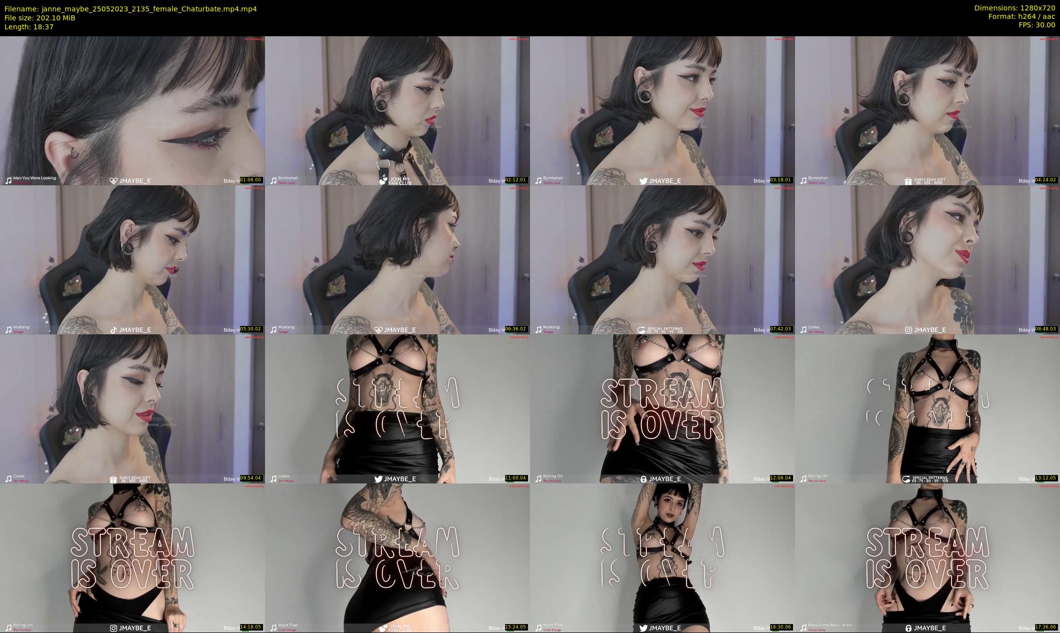 janne_maybe — 19 minute Chaturbate female cam show recording, 720p, May 25, 2023