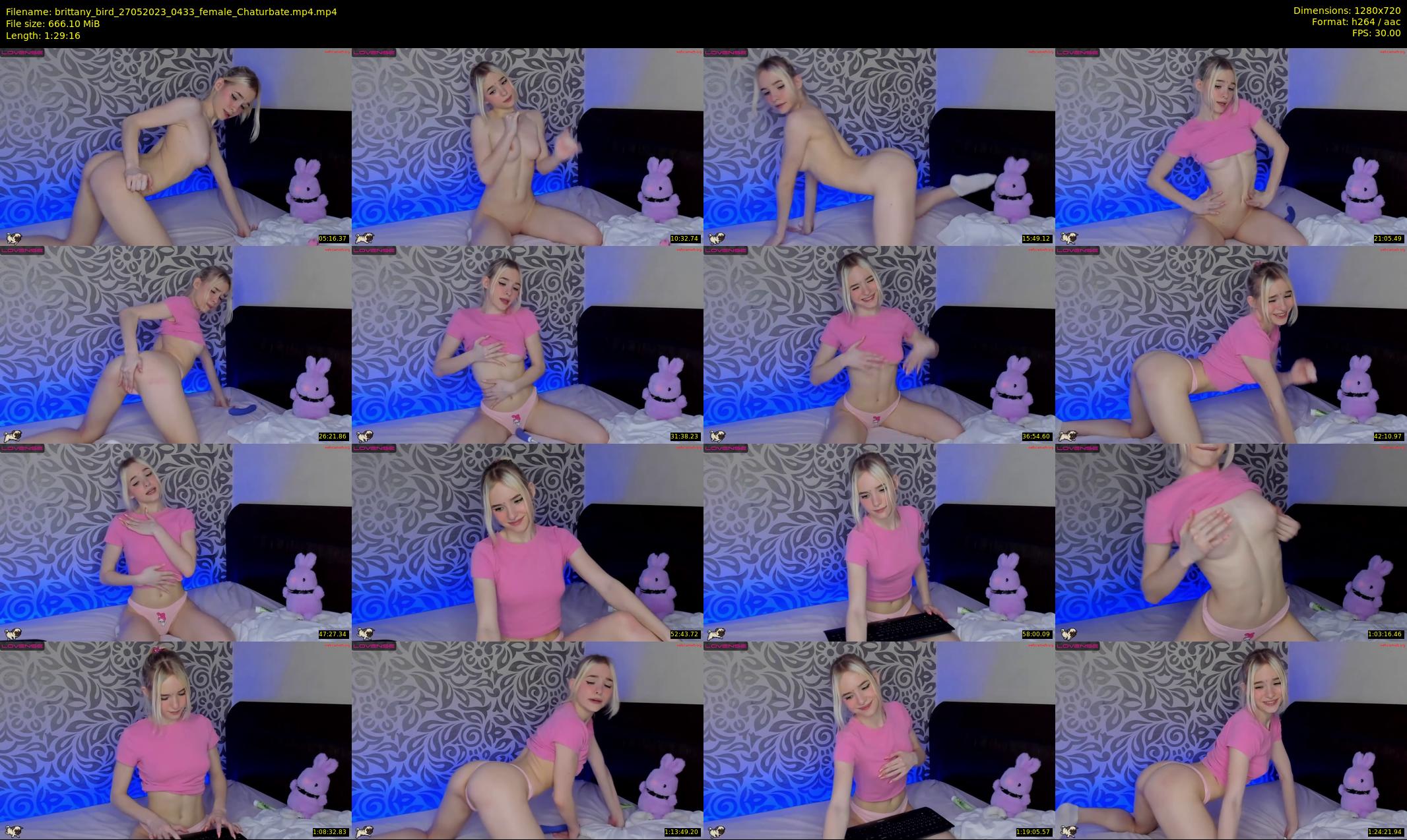 brittany_bird — 90 minute Chaturbate female cam show recording, 720p, May 27, 2023