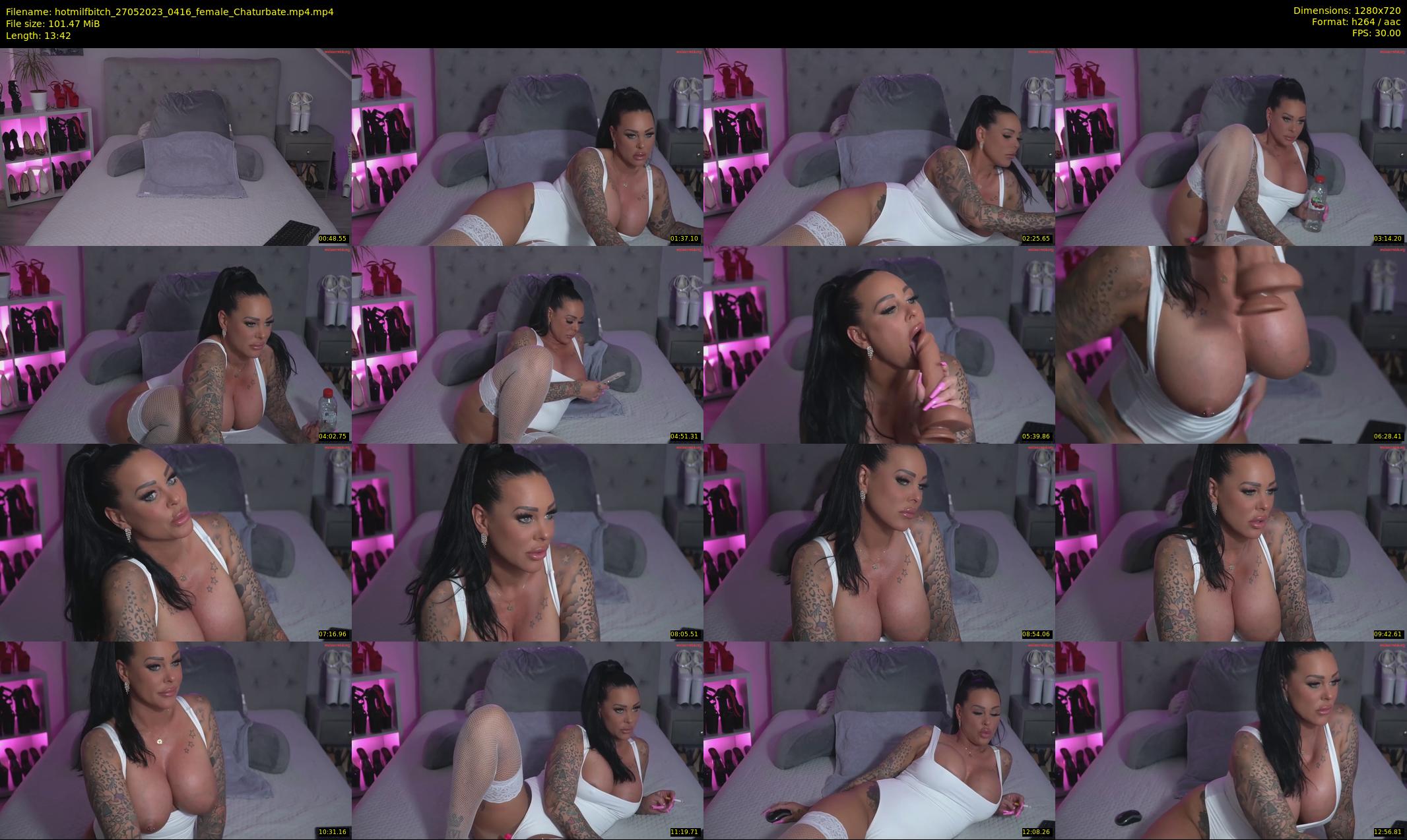 hotmilfbitch — 14 minute Chaturbate female cam show recording, 720p, May 27, 2023