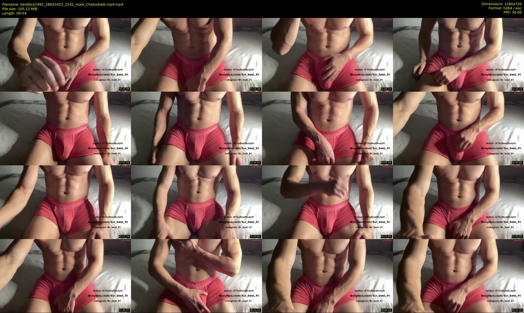 bestdick1991 — 10 minute Chaturbate male cam show recording, 720p, May 28, 2023