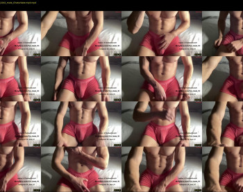 bestdick1991 — 10 minute Chaturbate male cam show recording, 720p, May 28, 2023